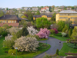 7 gyönyörű magyar arborétum, ahova feltétlenül menjetek el a gyermekeddel