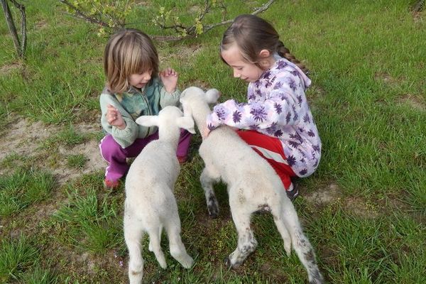 5 szuper kirándulóhely a Balaton környékén, ahova hűvösebb időben is elmehettek