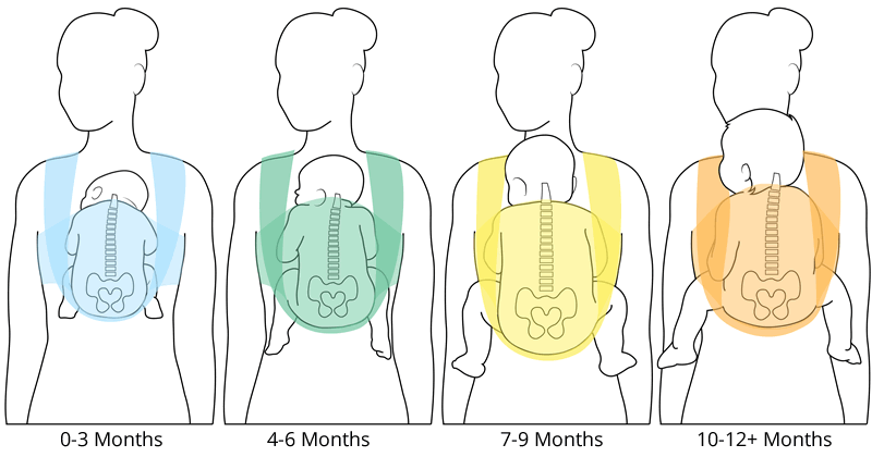 A helyes babahordozás 10 alapszabálya! Helyes hordozási pozíciók életkoronként fotókkal, leírással