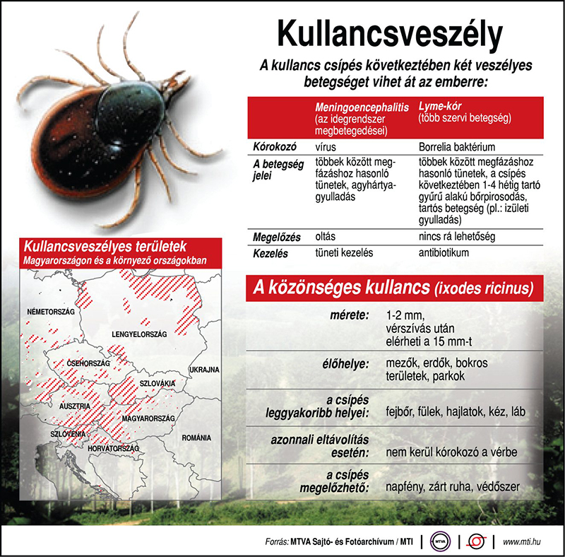 kullancsveszély 2020