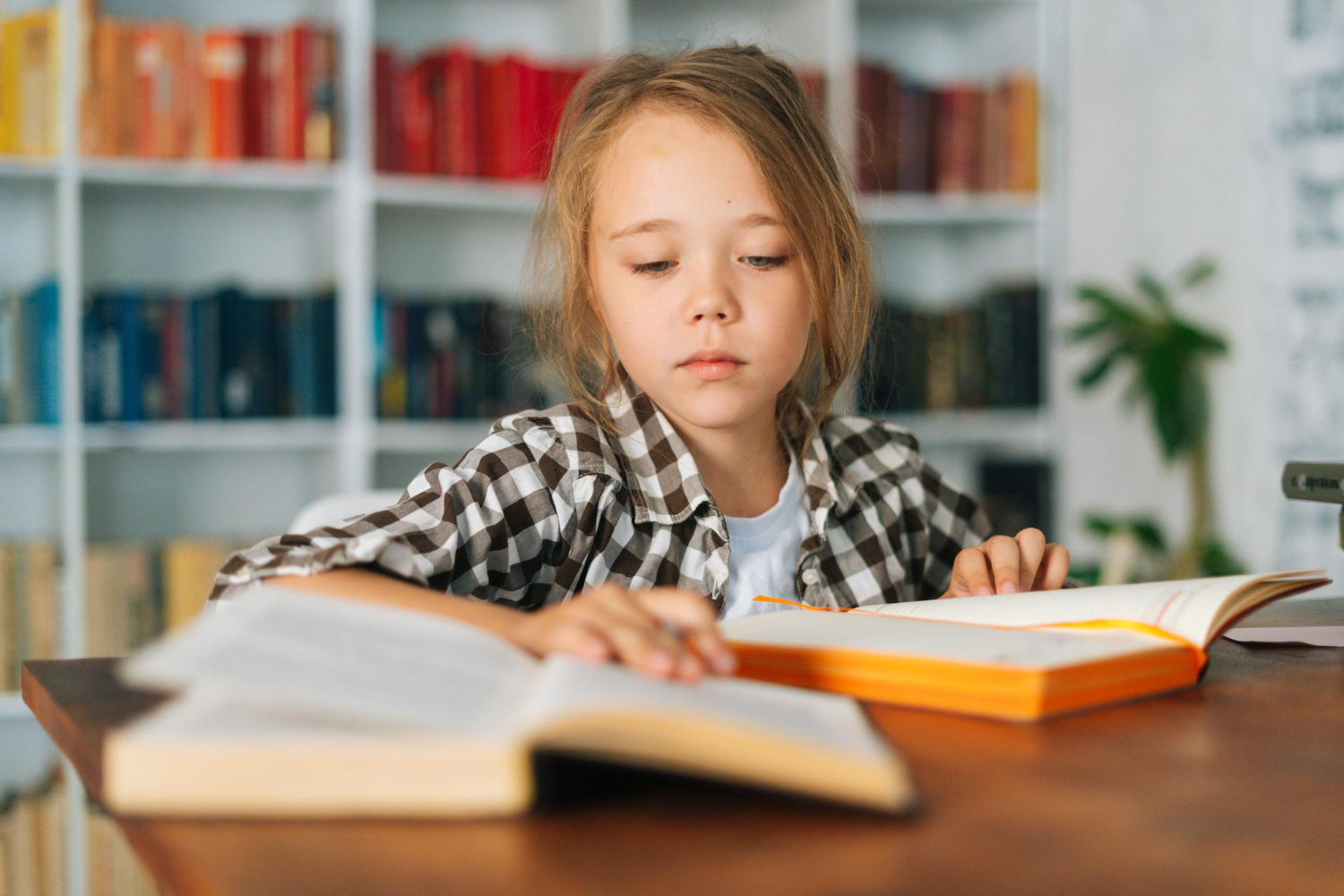 Mik legyenek a kötelező olvasmányok? - Ezeket a könyveket szavazta meg a legtöbb szülő és pedagógus